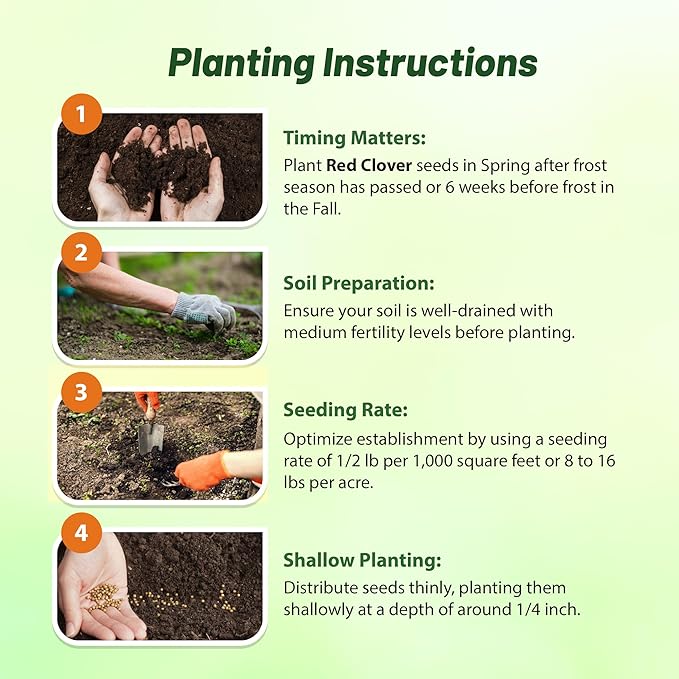 Outsidepride Perennial Red Clover Seeds - 2 lbs. Self-Seeding, Nitrocoated, Inoculated Clover Seeds for Lawn, Yard, Forage, Pasture, Hay, Nitrogen Fixation, Soil Improvement & Crop Rotation Programs