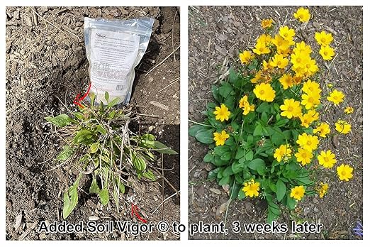 5 Pounds Super Absorbent Potassium Polymer - Soil Moisture Retention for All Plants