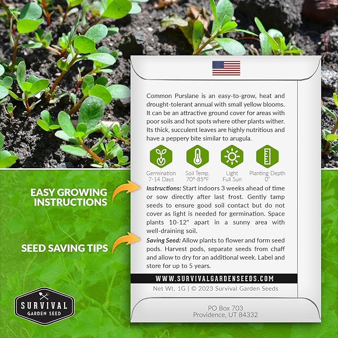 Common Purslane Seed for Planting - 1 Packet with Instructions to Plant & Grow Green Portulaca Oleracea in Your Home Vegetable Garden - Non-GMO Heirloom Variety Vegetable Seed - Survival Garden Seeds