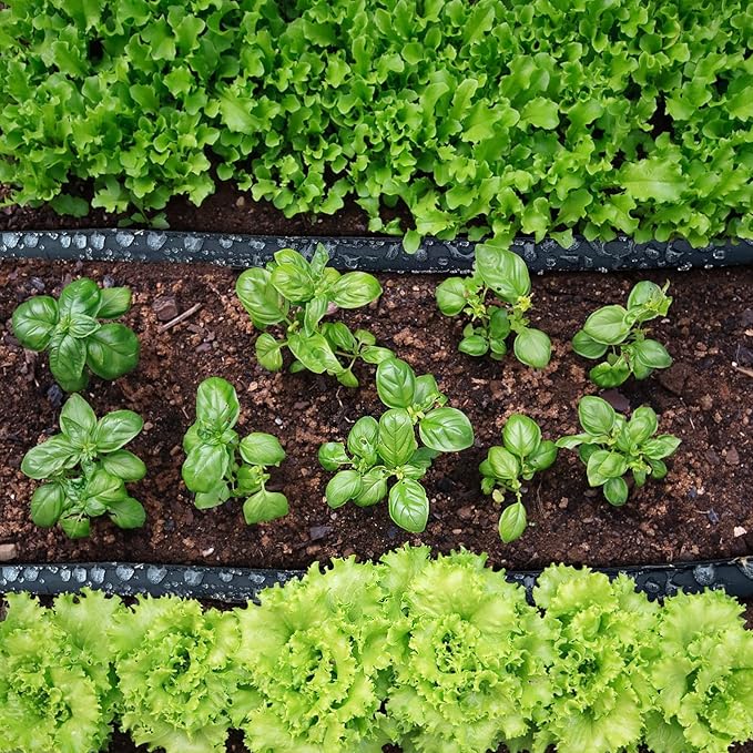 Flat Soaker Hose 50FT*3 Heavy Duty Double Layer Design Save 80% Water for Garden Lawn and Flower Bed Drip Irrigation (150FT)