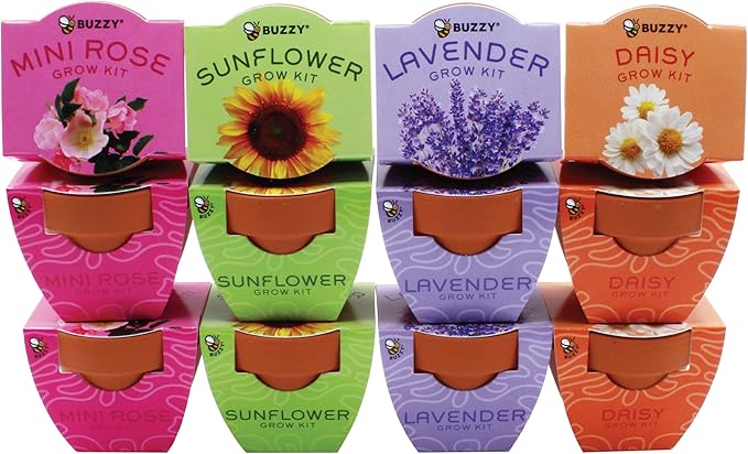 BUZZY Seeds Terracotta Mini Grow Pots | Herb, Plant, Flower Starter Kit for Kids & Adults | Assorted 12-Pack, Bright Series Collection | Guaranteed to Grow | Best Indoor-Outdoor Gardening Gift