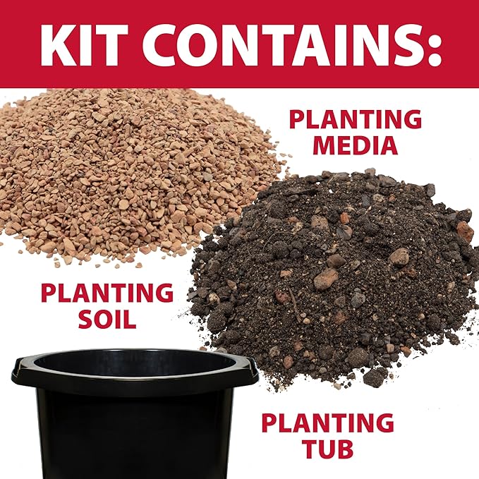The Pond Guy Planting Tub Kit for Aquatic Plants with Soil & Media, Outdoor Water Garden Planter Pot for Lily, Lotus & Bog Plants, Large Tub Kit