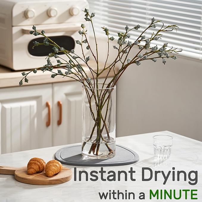 Diatomaceous Earth Plant Saucer for Indoor, 2 Pack Irregular 6 Inch 12 Inch, Instant Dry Pot Saucer, Plant Drip & Drainage Tray for Indoor, Stone Gray