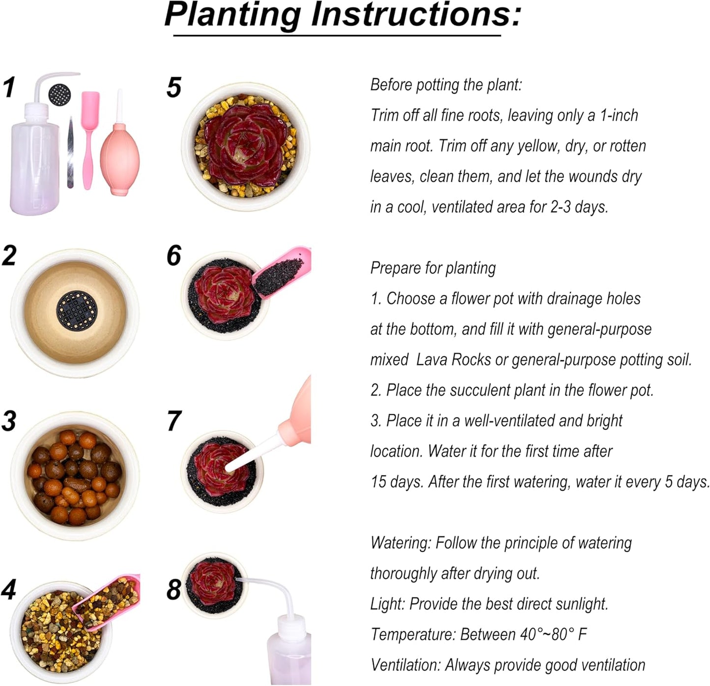 Lithops Large Random Mix Rare Live Succulent Plants, 30/50/100 Pcs 3 Years Bulk Succulent Live Plant, Bare Root Without Pot Soil, Garden Indoor, Plant Lover Gifts