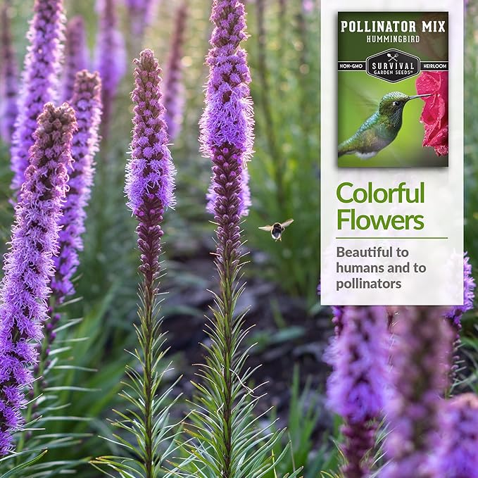 Survival Garden Seeds - Hummingbird Pollinator Mix Wildflower Seed for Planting - 2 Packs with Instructions to Plant & Grow Nectar Flowers in Your Home Vegetable Garden - Non-GMO Heirloom Varieties
