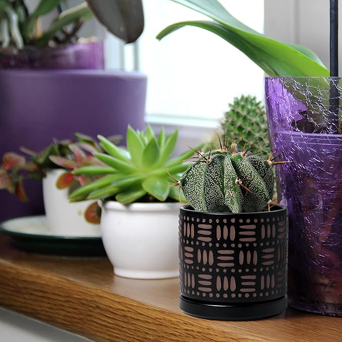 D'vine Dev Set of 2 Ceramic Planter Pots with Drainage Hole and Saucer, 4.5 Inch 6 Inch Plant Pots for Plants Indoor Houseplants, Black, 99-F-2