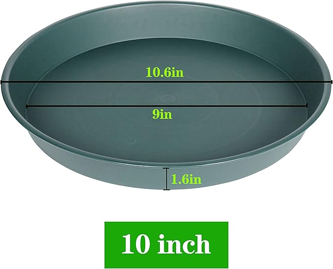 6 Pack of 10 inch Plant Saucer Bird Bath Bowl, Heavy Duty Plastic Plant Saucer 10 inch Round, Durable Plant Tray for Pots, Plant Saucers for Indoors, Plant Trays for Planter (10", Green)