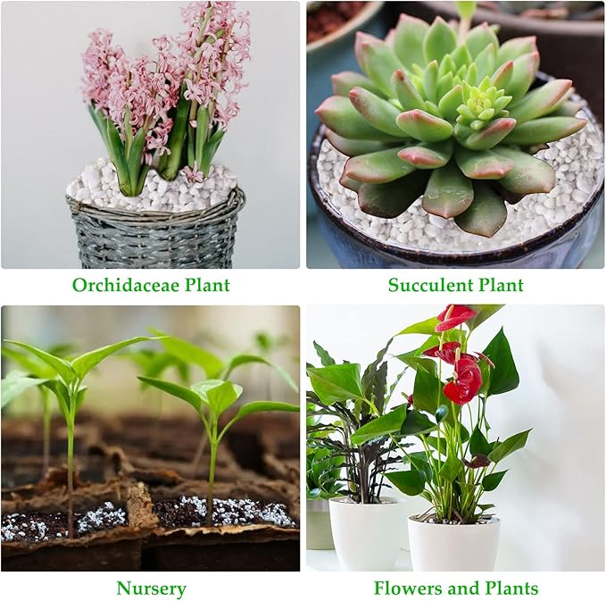 Legigo 4 Quarts Organic Horticultural Perlite for Plants Indoor- Natural Horticultural Soil Additive Conditioner Mix for Improves Drainage, Ventilation and Root Growth