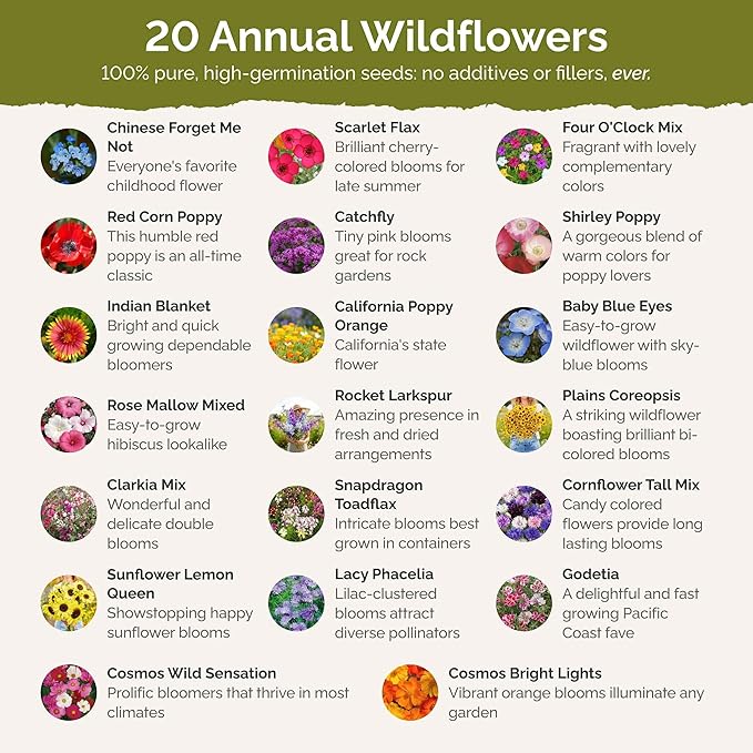 Eden Brothers All Annual Wildflower Mixed Seeds for Planting, 5 lb, 2,400,000+ Seeds with Sunflower, Indian Blanket, Scarlet Flax | Attracts Pollinators, Plant in Spring, Zones 3, 4, 5, 6, 7, 8, 9, 10