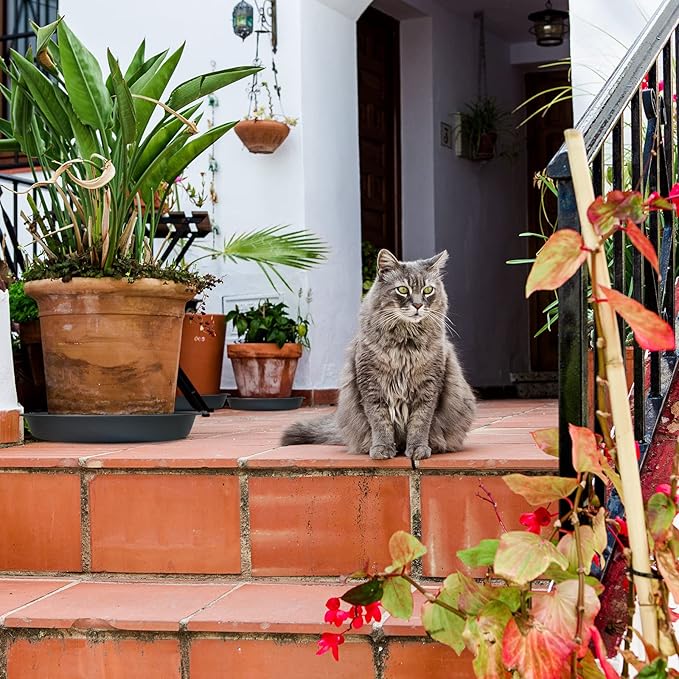 6 Pack Plant Saucer 12 14 16 18 20 22 Inch Plastic Plant Tray, Sturdy and Durable Flower Pot Container Accessories Plant Pot Saucers for Indoor and Outdoor (16 Inch, Gray)