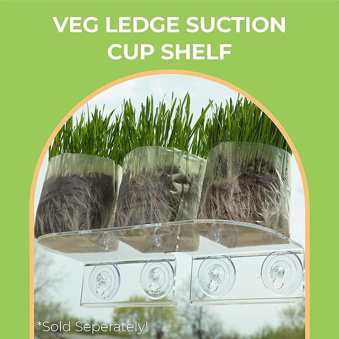 Window Garden Expanding Organic Fiber Soil 12qt and Hydrating Bag, Potting Soil for Planting Indoors or Outdoors, Plant Soil for Any Seed Starting Kit, Microgreens or Succulent, Easy-to-Store Soil