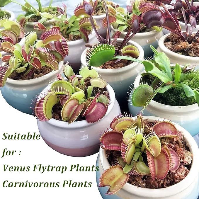 Sphagnum Moss for Plant Long Fiber Dried Forest Moss for Orchid Moss Potting Mix Natural Plant Moss for Carnivorous Plants Succulent Reptile (2.6)