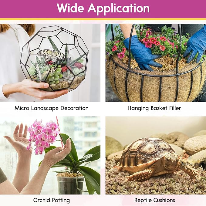 Riare 3.5 OZ Premium Sphagnum Moss for Plants- 4QT Natural Long Fiber Sphagnum Peat Moss Dried, Plants Moss Orchid Potting Mix for Orchids Repotting, Carnivorous Succulent Potted Plants and Reptiles