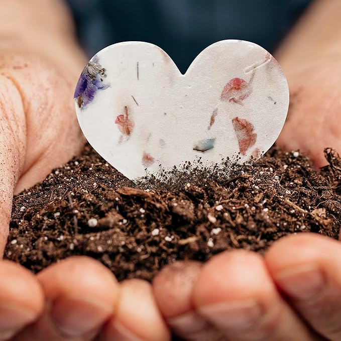 48pcs Plantable Wildflower Seed Paper – 24 Heart & 24 Butterfly Shapes for Weddings, Showers, & Life Events