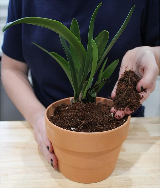 Terrarium Potting Soil Mix (4 Quarts), w/Blended Filtering Charcoal Custom Made for Terrariums