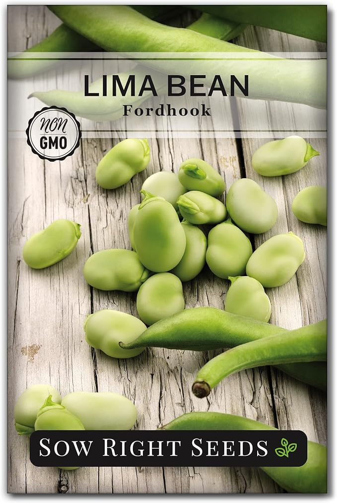 Sow Right Seeds - Fordhook Lima Bush Bean Seeds for Planting - Non-GMO Heirloom Packet with Instructions to Plant an Outdoor Home Vegetable Garden - Stringless Variety - Protein Packed Bush Bean (1)