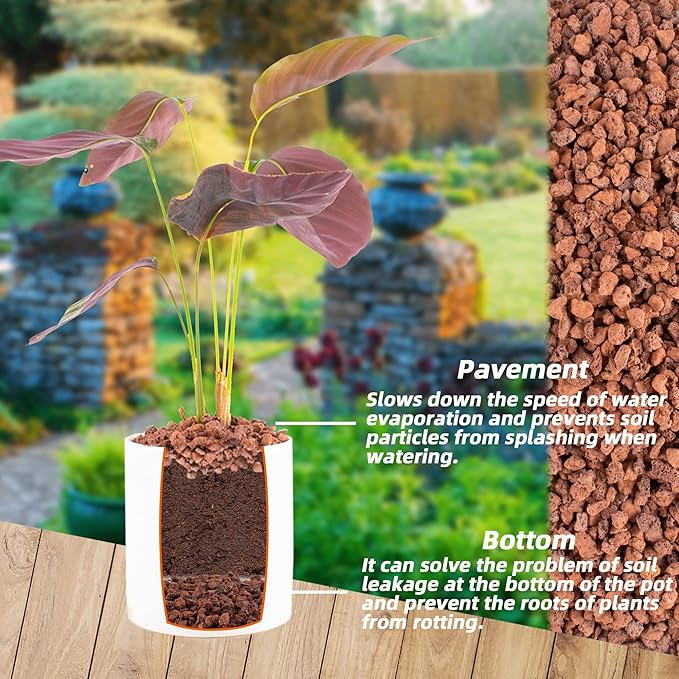 1.5 Lb Red Lava Rocks for Plants Decorative Landscaping 1/2" Lava Rock Granules Top Dressing for Cacti, Succulents Bonsai Plants for Release Excess Water to Prevents Root Rot