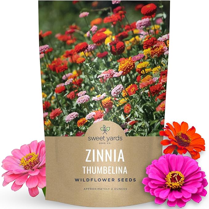 Zinnia Thumbelina Mix - Bulk 2 Ounce Pouch - 10,000 Flower Seeds for Planting - Zinnia elegans