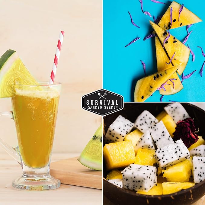 Survival Garden Seeds - Yellow Petite Watermelon Seed for Planting - 2 Packs with Instructions to Plant and Grow Small Yellow Watermelons in Your Home Vegetable Garden - Non-GMO Heirloom Variety