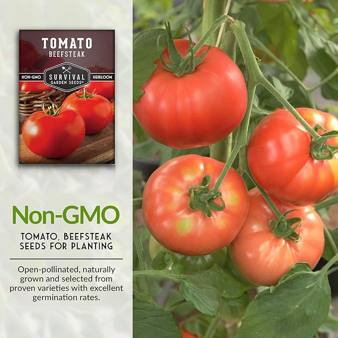Survival Garden Seeds - Beefsteak Tomato Seed for Planting - Packet with Instructions to Plant and Grow Delicious Tomatoes in Your Home Vegetable Garden - Non-GMO Heirloom Variety - 1 Pack