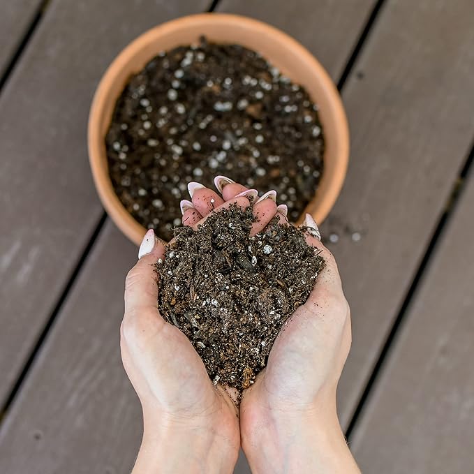 Banana Tree Potting Soil Mix (8 Quarts), Hand Blended Mixture for Banana Plants