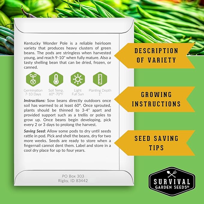 Survival Garden Seeds - Kentucky Wonder Pole Bean Seed for Planting - 3 Packs with Instructions to Plant and Grow Green Snap Beans in Your Home Vegetable Garden - Non-GMO Heirloom Variety
