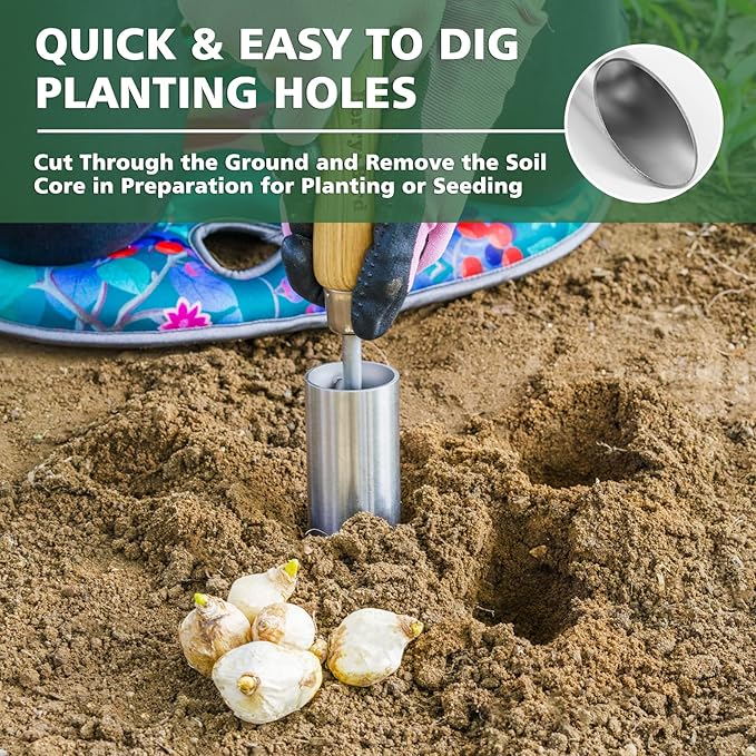 Berry&Bird Bulb Planter Tool, 12" Garden Bulb Transplanter Tool, Stainless Steel Manual Hole Digger with Wooden Handle, Transplanting Agricultural Dibble Tool for Seed Planting & Flower Planter