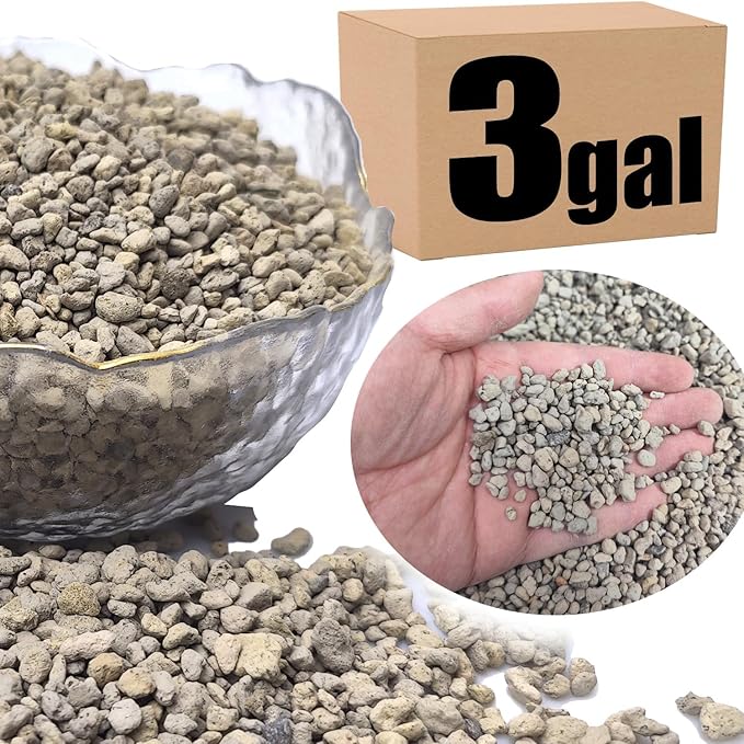Organic Pumice for Bonsai and Horticultural 100% Natural- (3 gallons, 1/4 inch)