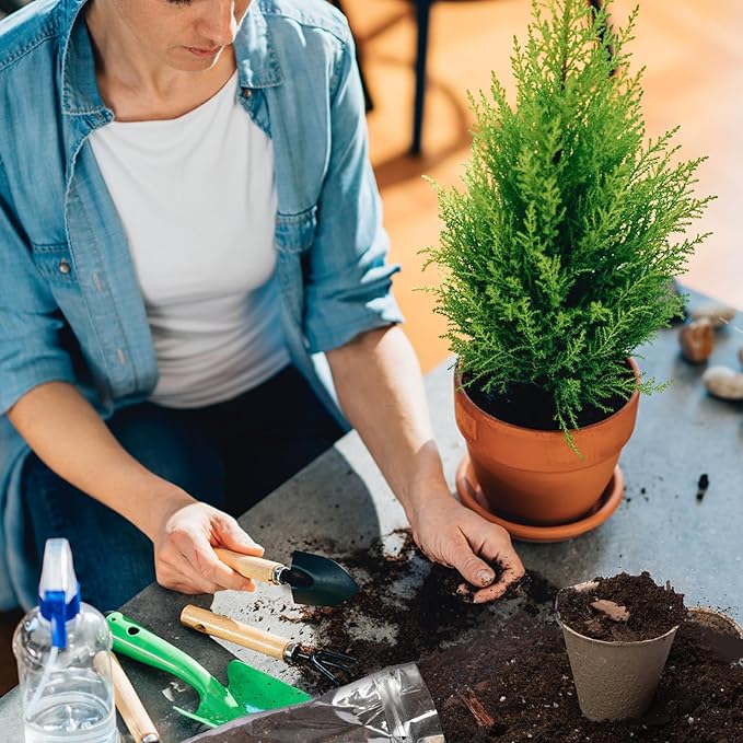 Bonsai Soil Mix 4qt Ready to Use, Organic Bonsai Tree Soil Fits for Small Bonsai Pot, Suitable for Bonsai Seedling, Repotting, or Bonsai Starter Kit