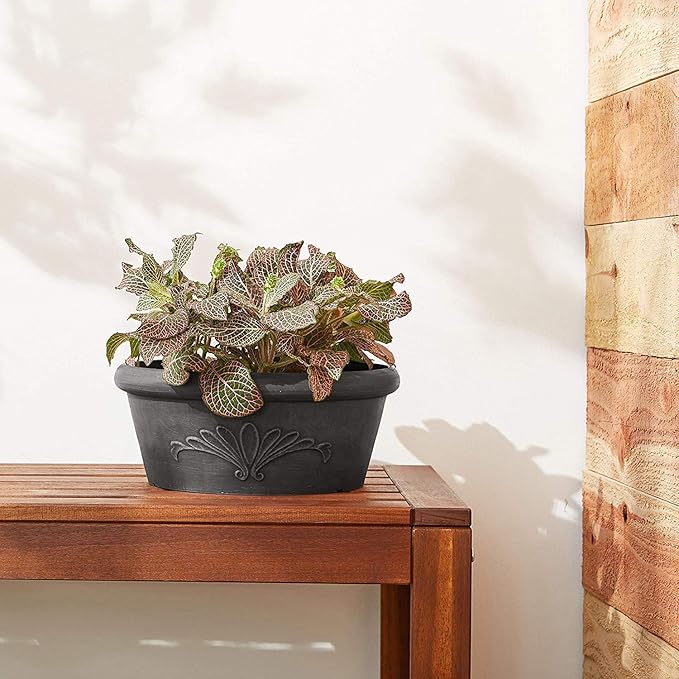 Arcadia Garden Products PSW Pot TA30DC Collection Shallow Bulb Pan Planter Dish Low Bowl for Succulents, Bonsai, Fairy Gardens, Herbs, 12-inch, Dark Charcoal