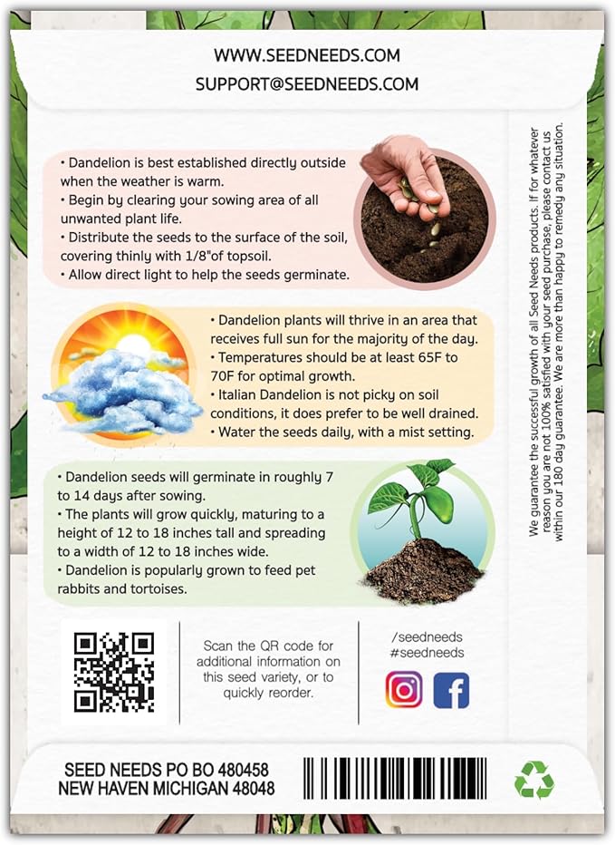 Seed Needs Garnet Stem Dandelion Seeds for Planting - Non-GMO, Heirloom & Untreated Edible Herbs - Organically Grow Your own Food for Tortoises, Rabbits & Bearded Dragons (5 Packs)