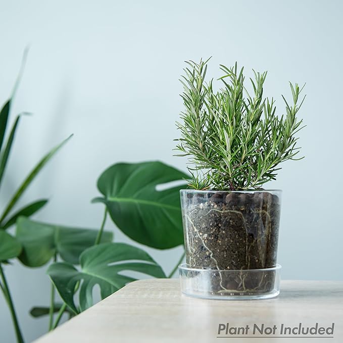 Phoenix Vine 4.5 Inch Clear Acrylic Planter Pot with Tray, Orchid Pot with Drainage Holes, Deep Saucer for Bottom Watering, Transparent Containers for Indoor Plants, Herbs, Set of 2, 91-A-E-2