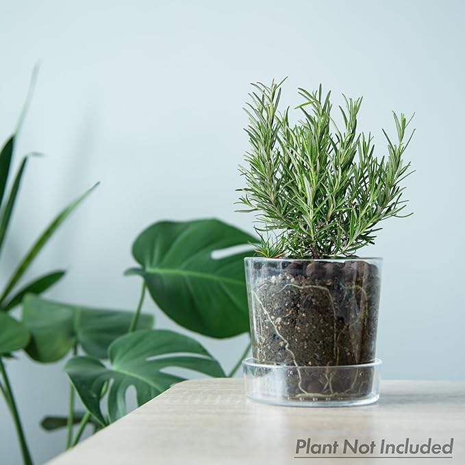 Phoenix Vine 4.5 Inch Clear Acrylic Planter Pot with Tray, Orchid Pot with Drainage Holes, Deep Saucer for Bottom Watering, Transparent Containers for Indoor Plants, Herbs, Set of 1, 91-A-E-1