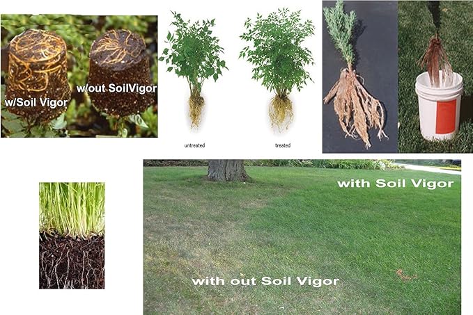 Potassium Polyacrylate for Garden Lasts Up to 7 Years in Soil (20)
