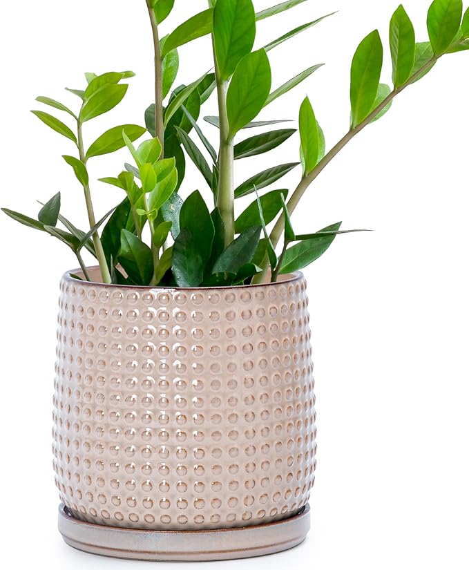 D'vine Dev 6 Inch Ceramic Beaded Stoneware Planter Pot - Flower Pot with Drainage Holes and Saucers for Indoor Succulent Plants or Flowers, Light Brown, 27-C-X-4