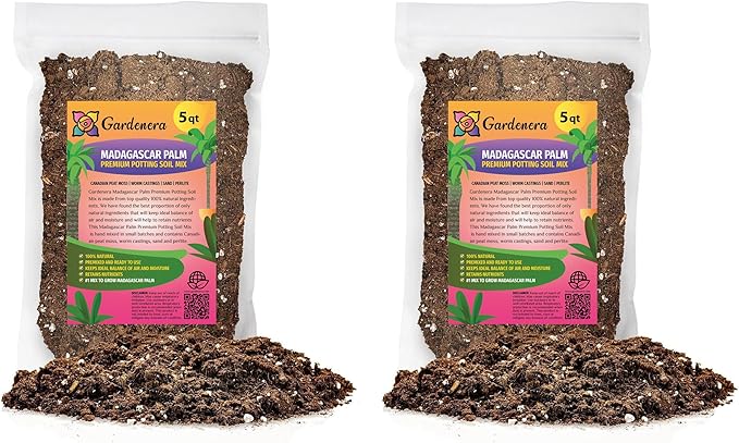 Madagascar Palm Plant Potting Soil - All-Natural Blend for Thriving Palms - Boosts Root Health and Distinctive Elegance - 10 Quart