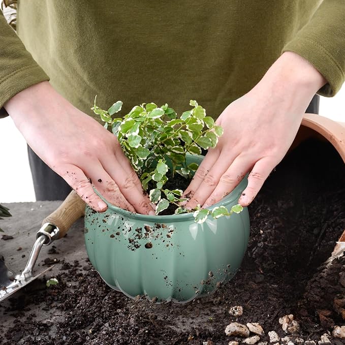 Self-Watering Ceramic Planter for Indoor Plants – 6 Inch Pot for Succulents, Herbs & Small Houseplants, Decorative Self-Watering Pot for Home & Office, Blue