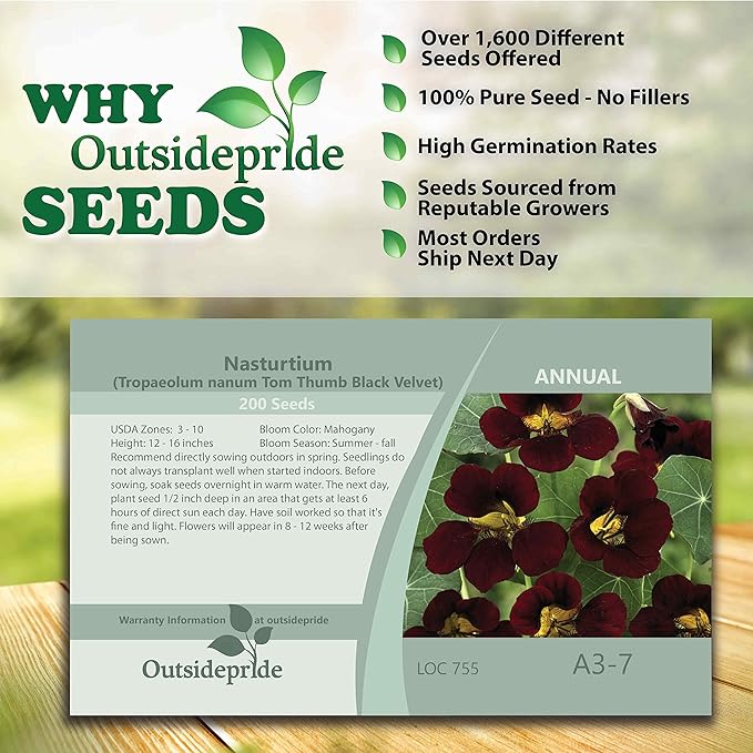 Outsidepride 200 Seeds Annual Nasturtium Mahogany Black Velvet Cimbing Vine Flower Seeds for Planting