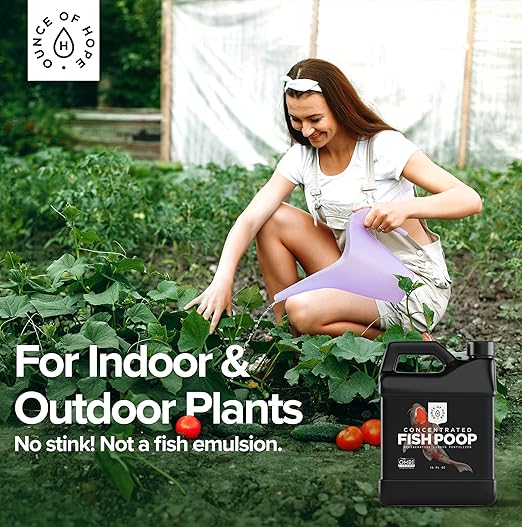 OMRI Listed Organic Concentrated Fish Poop | Plant Food & Soil Conditioner | Liquid Fish Fertilizer for Indoor Potted House Plants, Herb Gardens, Hydroponics (16 Ounces)