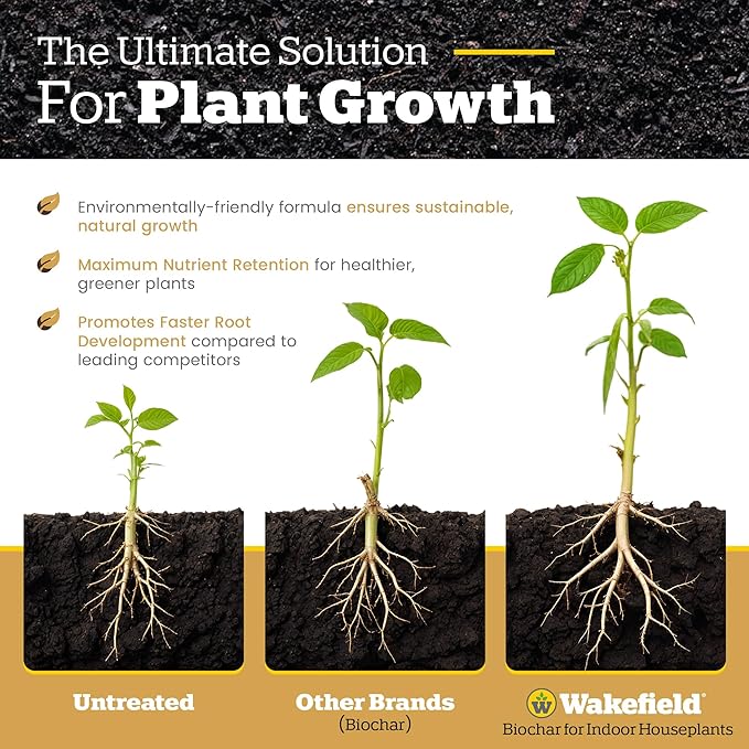 Blend for Cactus & Succulent – Premium Organic Cactus Soil with CarbonBoost Technology for Enhanced Growth – Specialized Soil Mix for Succulents Indoor Plants – 4 Quarts