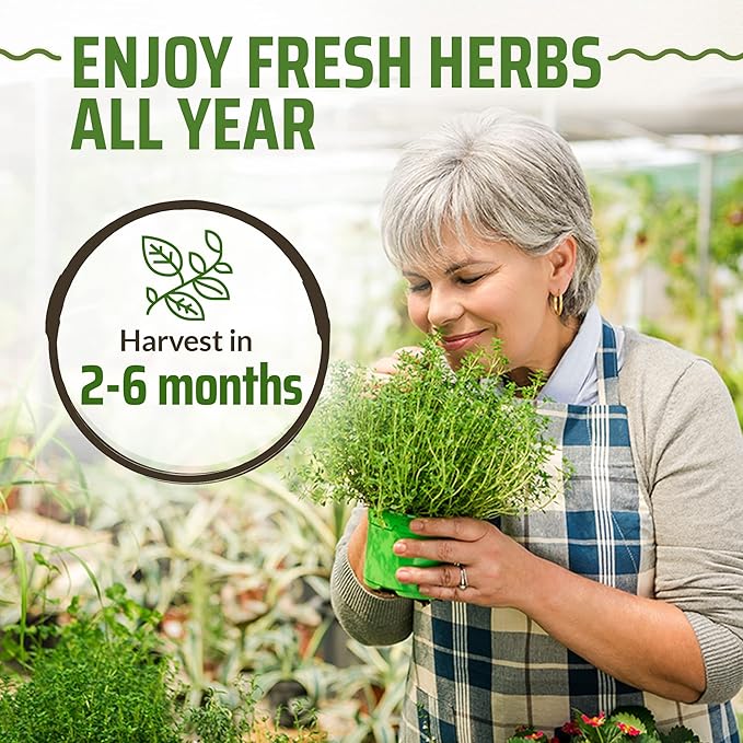 17 Herb Culinary Seed Vault - 5200+ Herbs Seeds for Planting Indoor or Outdoor Garden - Heirloom, Non GMO | Hydroponic Herb Garden Seeds with High Germination | Cilantro, Mint, Chives, Basil, Parsley