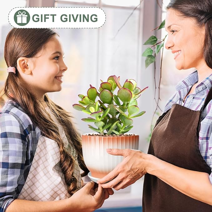 6.7 + 5.5 Inch Plant Pot, Ceramic Planter with Drainage and Saucer, Ceramic Pots for Plants, Indoor Plant pots,Ceramic Flower pots（Orange + White, Plants NOT Included）