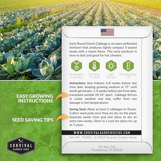 Survival Garden Seeds - Early Round Dutch Cabbage Seed for Planting - 5 Packs with Instructions to Plant and Grow Green Cabbages in Your Home Vegetable Garden - Non-GMO Heirloom Variety - Plant Seed