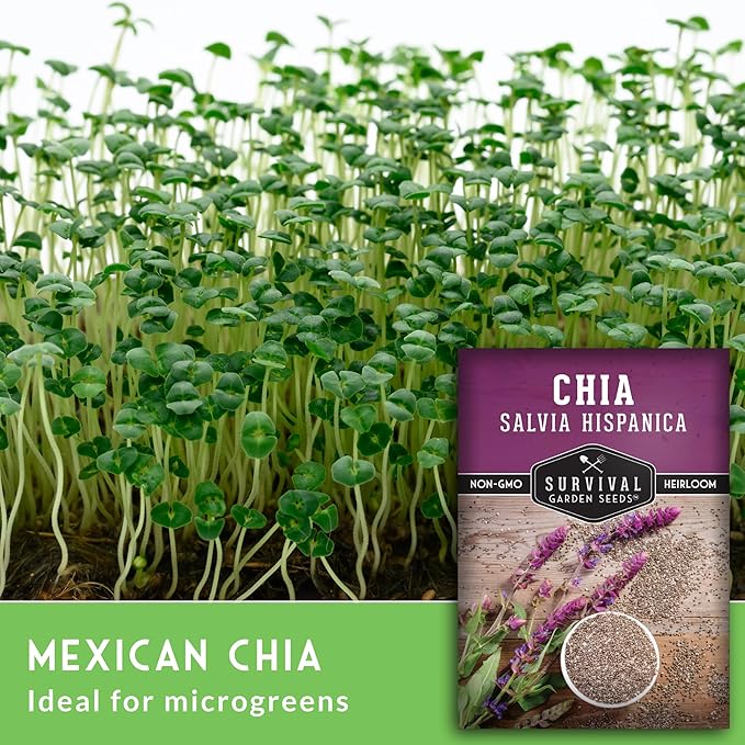 Mexican Chia Seed for Planting - 5 Packets with Instructions to Plant and Grow Mexican Chia in Your Home Vegetable Garden - Non-GMO Heirloom Variety - Survival Garden Seeds