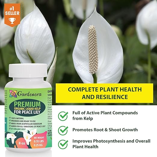 Concentrated Kelp & Seaweed Extract for Strong and Resilient Peace Lilies - 16 oz