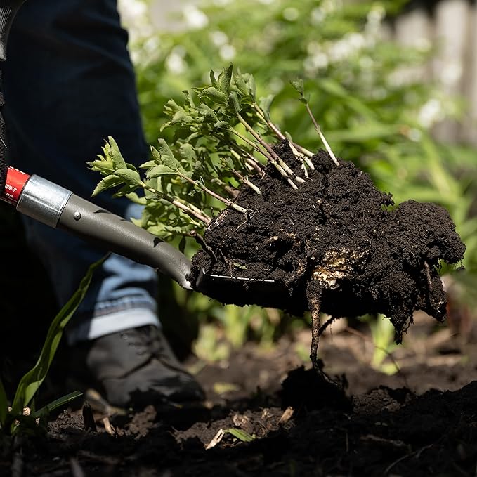 Radius Garden 25811 Pro-Lite Carbon Steel Floral Shovel, Red
