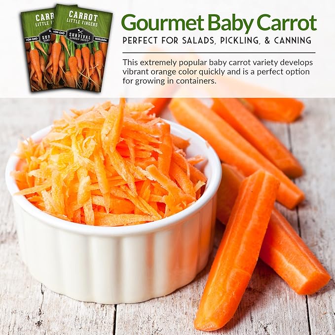 Survival Garden Seeds - Little Fingers Carrot Seed for Planting - Packet with Instructions to Plant and Grow Delicious Baby Carrots in Your Home Vegetable Garden - Non-GMO Heirloom Variety - 5 Pack