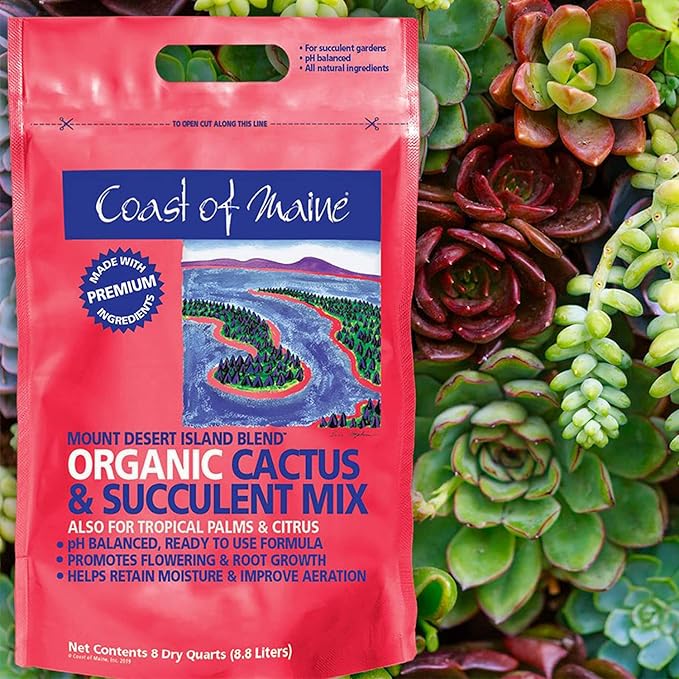 Coast of Maine Mount Desert Island Blend Organic and Natural Cactus and Succulent Mix, 8qt (Pack of 2)