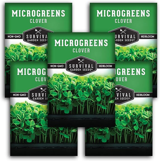 5 Packs Clover Microgreens Seeds for Sprouting and Growing - Sprout Green Leafy Micro Herb Plants Indoors - Grow A Mini Windowsill Garden - Non-GMO Heirloom
