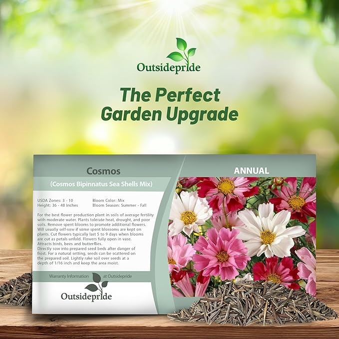 Outsidepride 250 Seeds Annual Cosmos Bipannatus Sea Shells Cut Flower Seed Mix for Planting